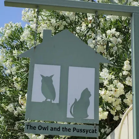 The Owl And The Pussycat *